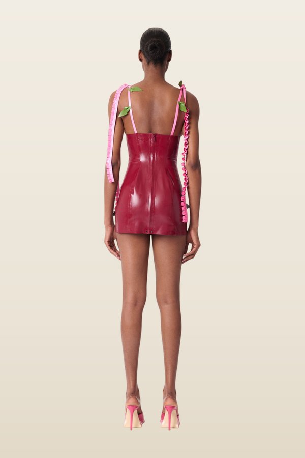 Annamaria Latex Dress — carry 4