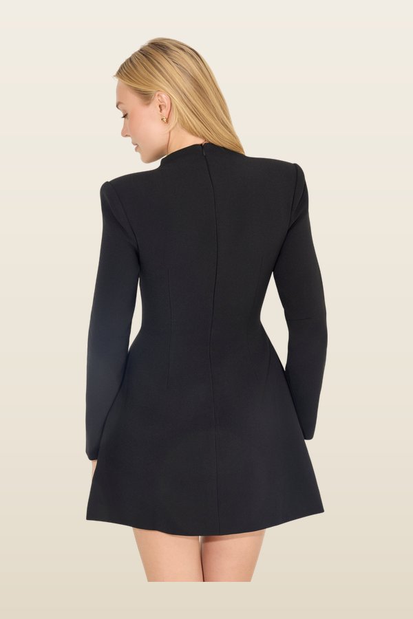 Button Mini Dress — carry 4