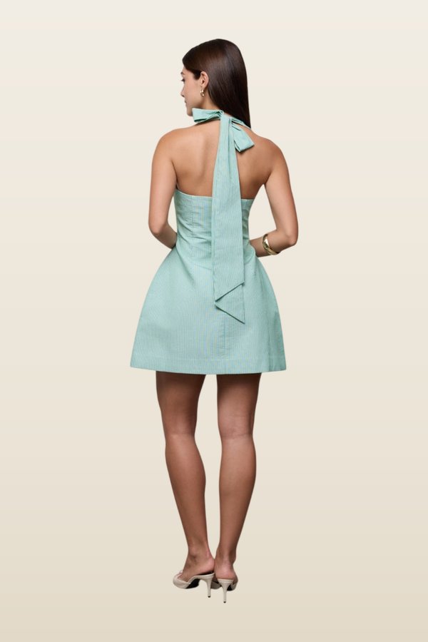 Cotton Pinstripe Mini Dress — carry 4