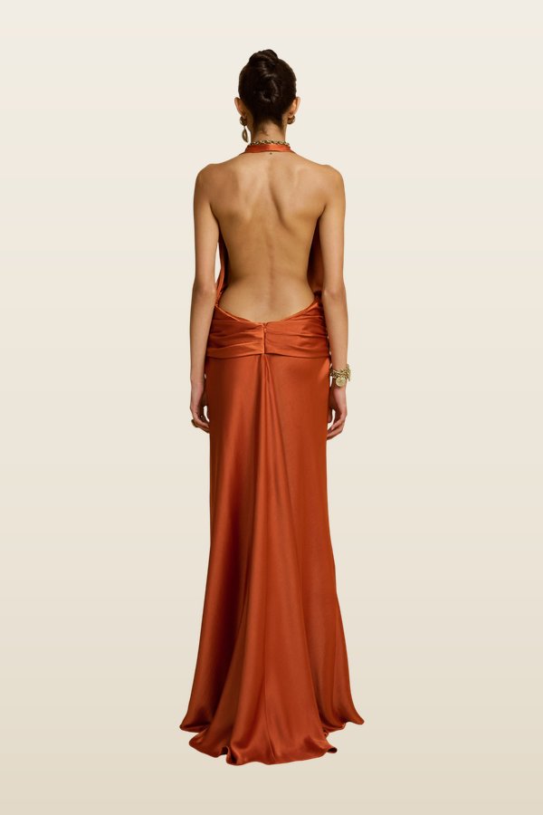Francesca Dress Rust — model back