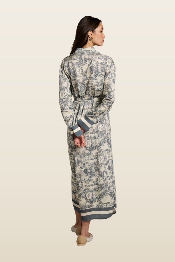 Riviera Shirt Dress (Vintage Chateau Steel — model back