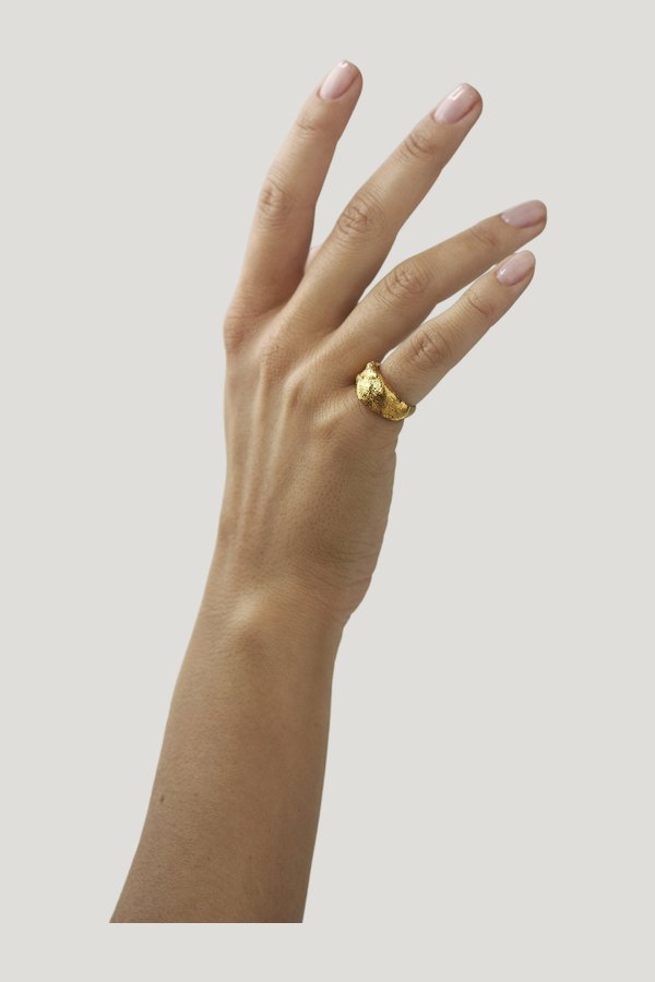 Signet Ring Gold — extra