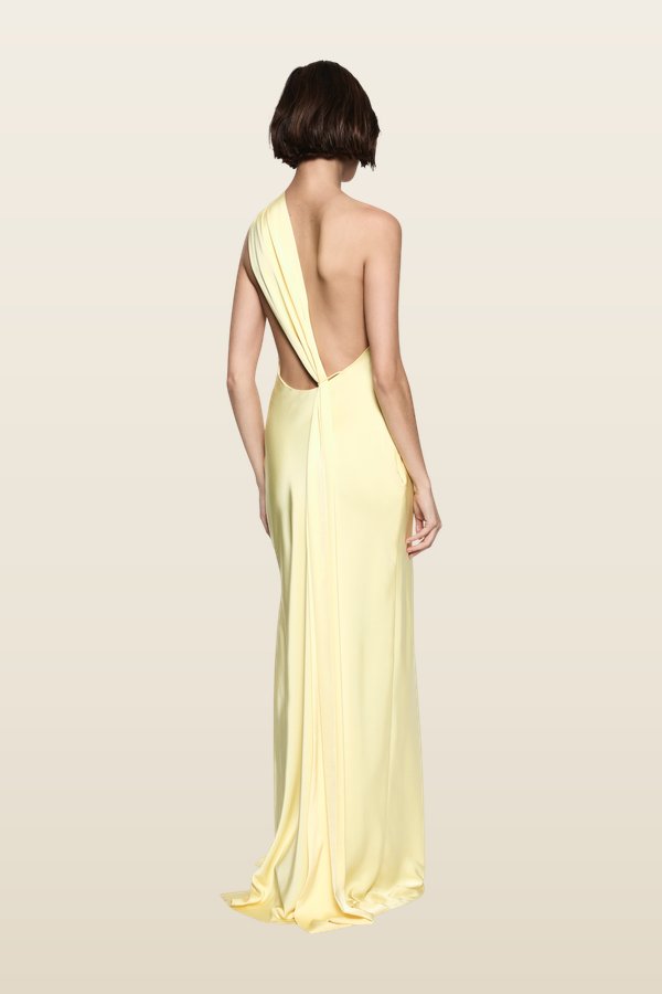 The Nicolette Satin Dress — model back