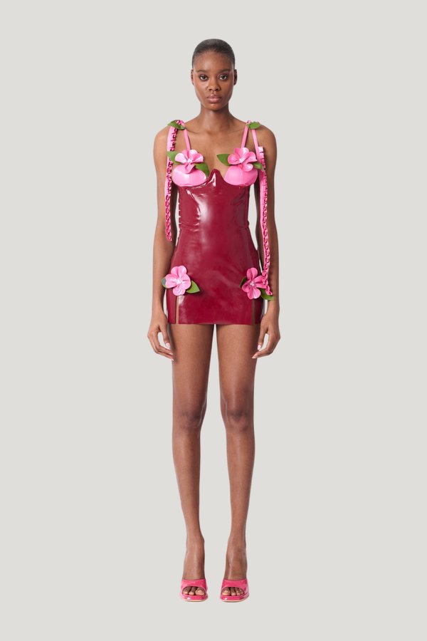 Annamaria Latex Dress — carry 2