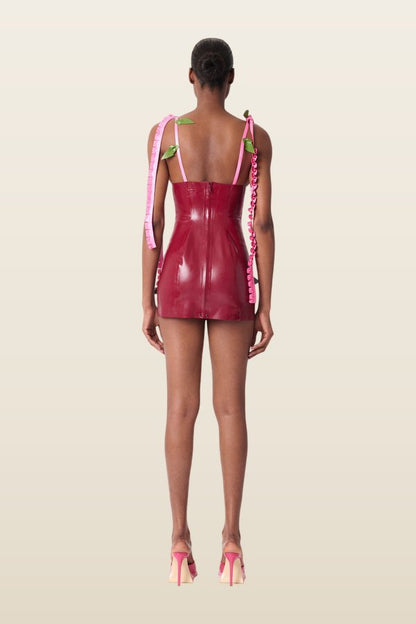 Annamaria Latex Dress — carry 4