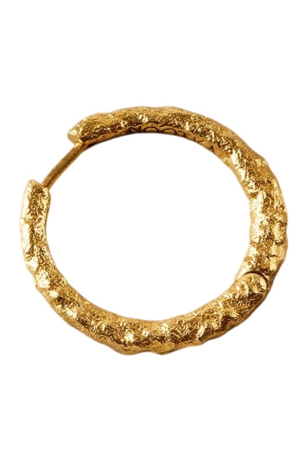 Big Hoop Gold — packshot
