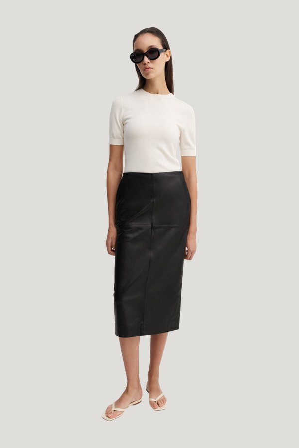 Birdy Leather Skirt — carry 2