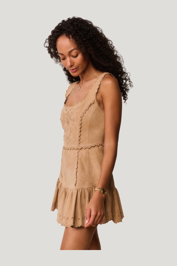 Chrysanthe Suede Eyelet Mini Dress — carry 3