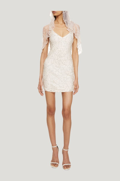Cobweb Mini Dress — carry 2