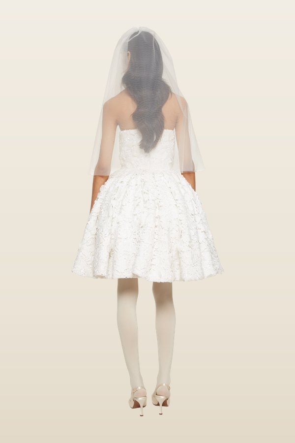 Corset Lace Mini Dress — model back