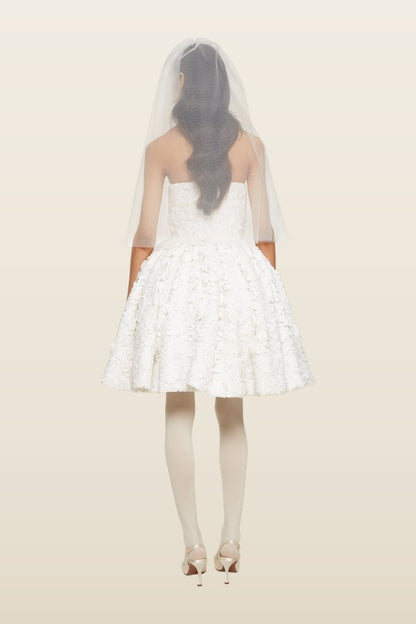 Corset Lace Mini Dress — model back