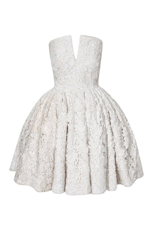 Corset Lace Mini Dress — packshot