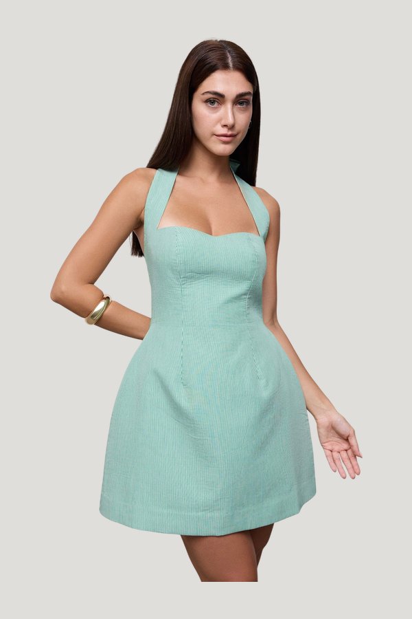 Cotton Pinstripe Mini Dress — carry 3