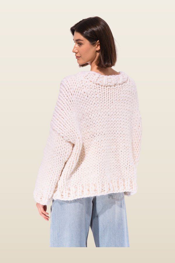 Blue Fish Chunky Knit Sweater — model back