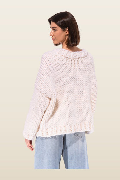 Blue Fish Chunky Knit Sweater — model back