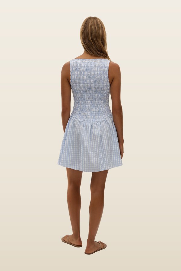 Martina Mini Dress Paloma Check — carry 4