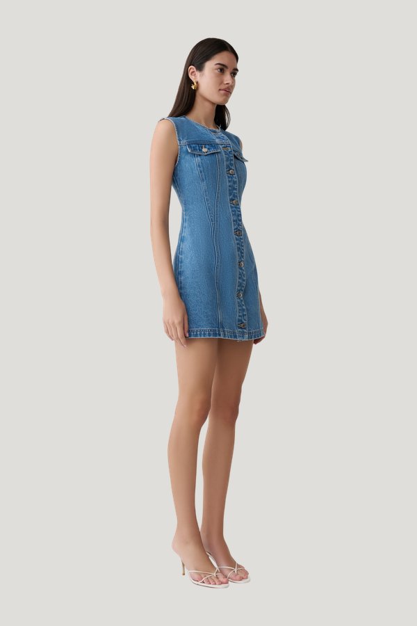 Penn Button Front Denim Mini Dress — carry 3