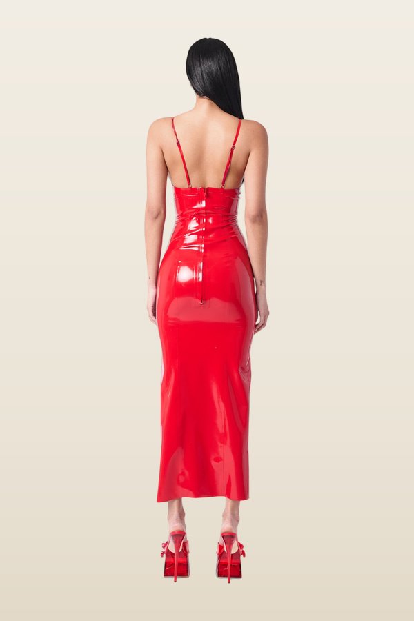 Roast Latex Dress — model back