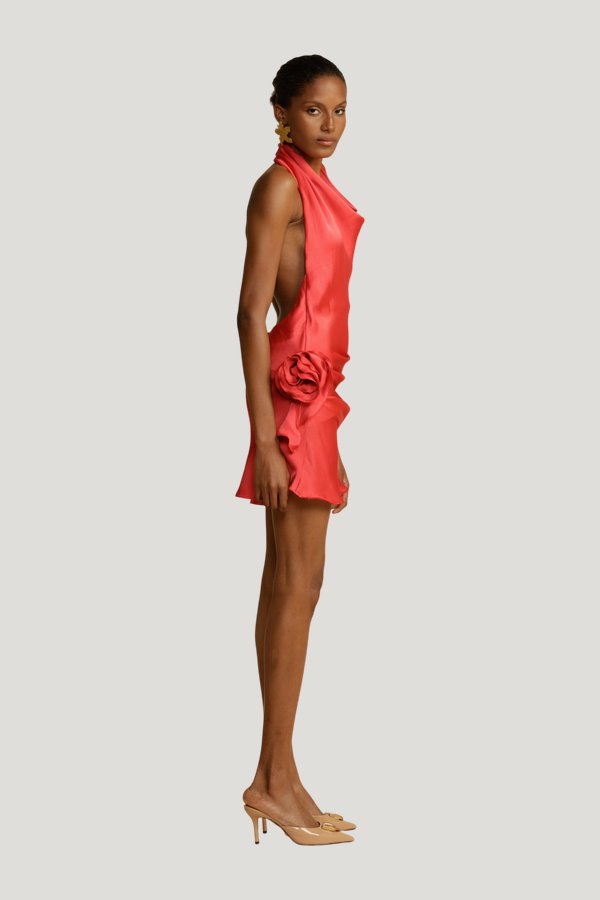 Rosa Dress Punch — carry 3