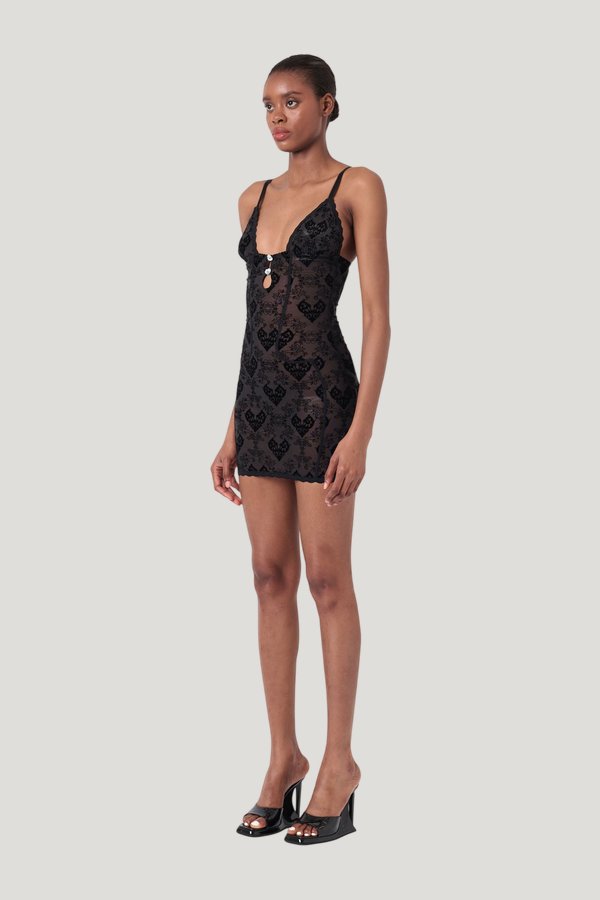 Scarlett Dress Flocked Mesh — carry 3