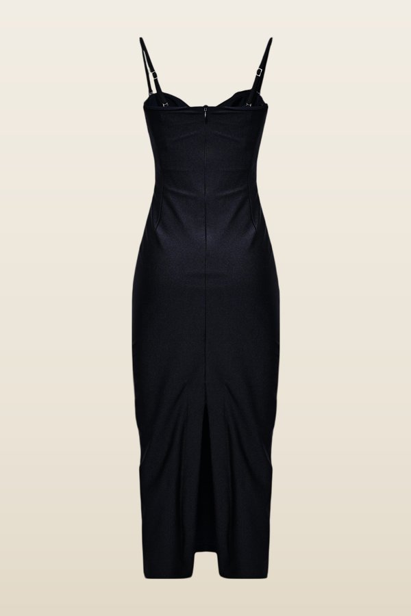Selene Mesh Flower Applique Midi Dress — model back