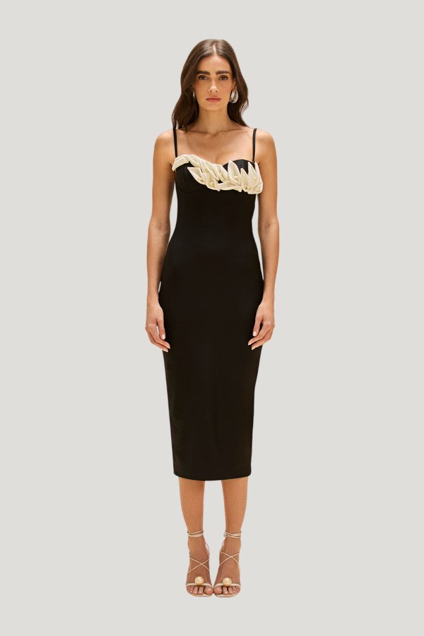Selene Mesh Flower Applique Midi Dress — model front
