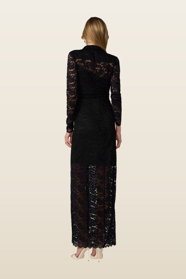 Sheska Lace Dress — model back