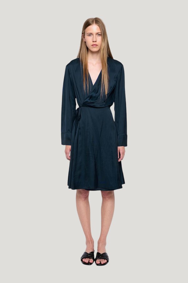 Remoir Satin Dress — carry 2