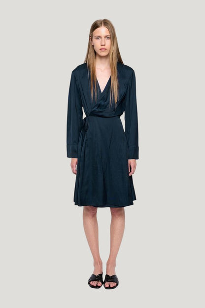 Remoir Satin Dress — carry 2