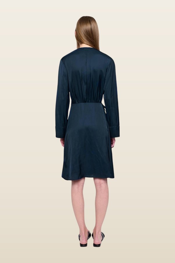 Remoir Satin Dress — carry 4